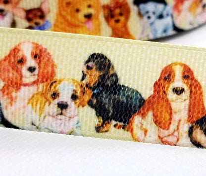 6 yards in stock - 7/8'' Puppy Dog Ribbon. Pet Gifts. Puppy Parade. Adopt a pet.