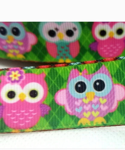 7/8'' Baby Owls Ribbon. Cute Adorable Bright Owls. Owl Bird Ribbon