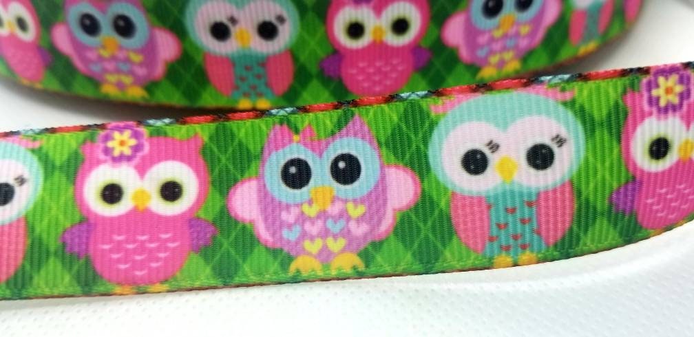 7/8'' Baby Owls Ribbon. Cute Adorable Bright Owls. Owl Bird Ribbon